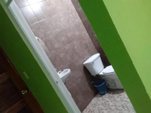 a bathroom with a toilet and a green wall at HOTEL ESTRELLA HUASTECA in Aquismón