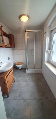 a bathroom with a shower and a sink and a toilet at Fewo Am Wiesenweg EG1 in Bad Elster