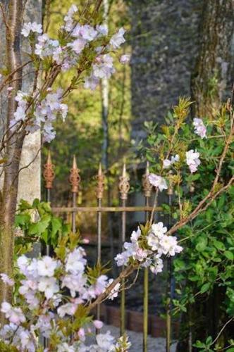 a fence with pink flowers in front of a garden at B&B Les Tilleuls in Vielsalm
