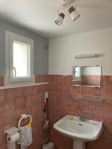 une salle de bain avec un lavabo et un miroir dans l'établissement EOLE 22 Binic, à Binic