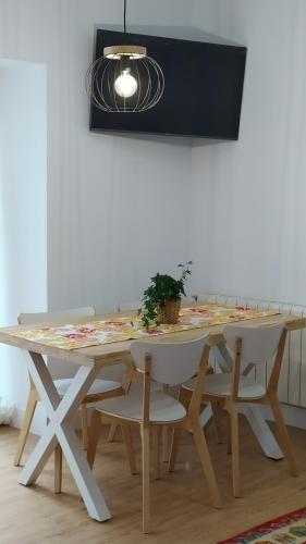 a table with chairs and a potted plant on it at Iulia Emérita Centro in Merida