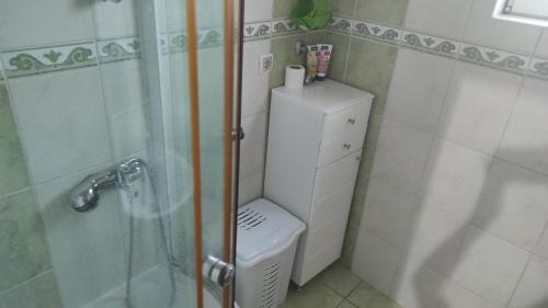 a small bathroom with a toilet and a shower at Apartment Katica Mostar in Mostar