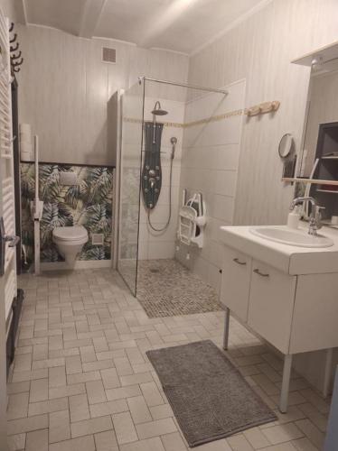 ein Bad mit einer Dusche, einem Waschbecken und einem WC in der Unterkunft gite chez l'oncle jules in Velesmes