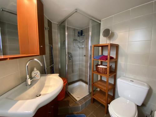 uma casa de banho com um WC, um lavatório e um chuveiro em Einstein’s Apartment em Atenas