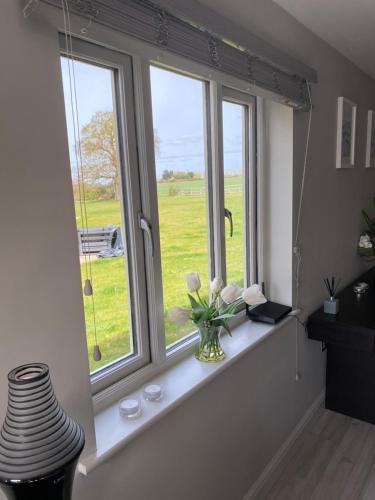 a window with a vase of flowers on a window sill at Oak Bray Coach House in Bray