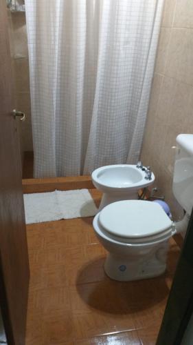 een badkamer met een toilet en een wastafel bij Susana in Loncopué