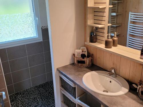 een badkamer met een wastafel en een douche bij Cottage, Le Pouldu in Le Pouldu