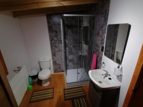 a bathroom with a shower and a toilet and a sink at Cabañas camelia in Puelo