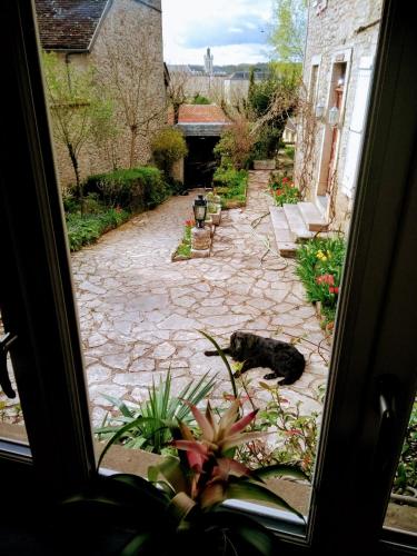 Κατοικίδιο ή κατοικίδια επισκεπτών που μένουν στο Maison Chopin