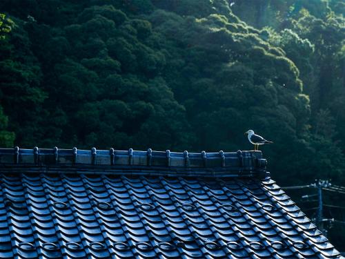 B&Bの近くで見られる自然の景観