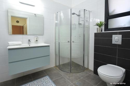 a bathroom with a shower and a toilet and a sink at וילה מגדלא in Migdal