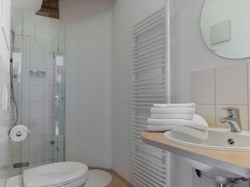 een badkamer met een wastafel, een toilet en een douche bij Escasa Ferienwohnungen in Heiligenberg