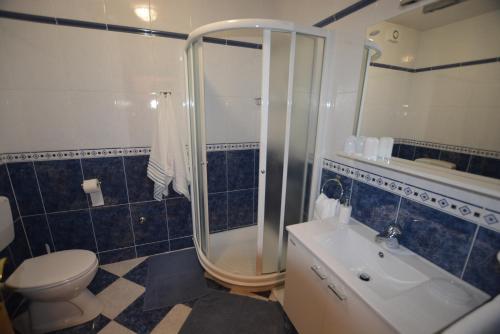 a bathroom with a shower and a toilet and a sink at Apartment Silva in Kornić