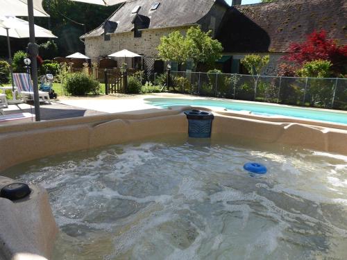 Una piscina de agua con una bola azul. en Private Gite with heated pool with retractable cover and hot tub, en Cendrieux