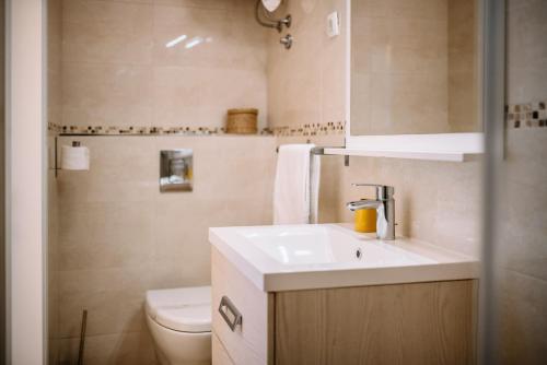 a bathroom with a sink and a toilet at AMOROZO APARTMENTS by DuHomes in Dubrovnik