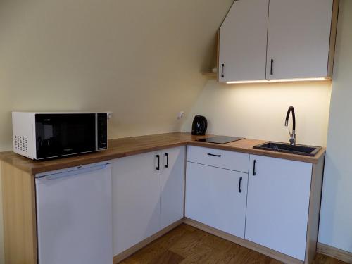 Kuchyňa alebo kuchynka v ubytovaní Apartament nr 4 U Miśka z dwoma sypialniami
