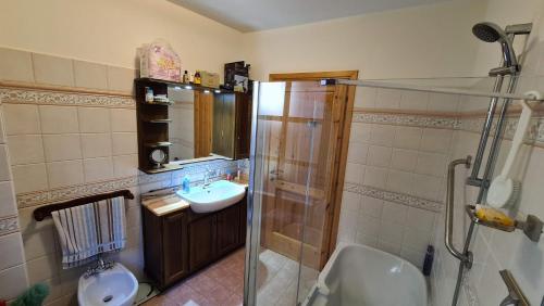 ein Bad mit einer Dusche, einem Waschbecken und einem WC in der Unterkunft Independent chalet with breathtaking view in Villar Pellice