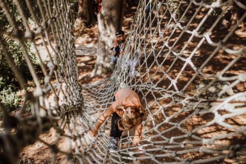 a dog is standing inside of a net at Familienhotel Huber in Valles