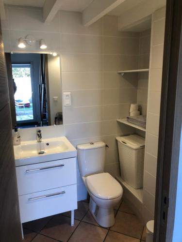 a bathroom with a toilet and a sink and a mirror at L'instant d'une pause Studio mezzanine avec jardin proche Montpellier in Teyran