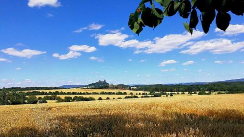 a field of grass with a castle in the distance at Apartmán U krále - 3 in Jičín
