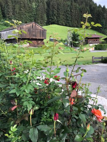 a bush with flowers in front of a barn at Das Kitz - deLuxe ChaletApartments in Jochberg