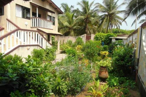a garden in front of a house with plants at Appartement confortable à Grand Popo, 50 m², piscine partagée in Grand-Popo