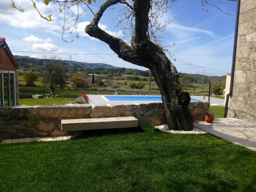 a bench sitting in the grass next to a tree at Casa Ravel in Silleda