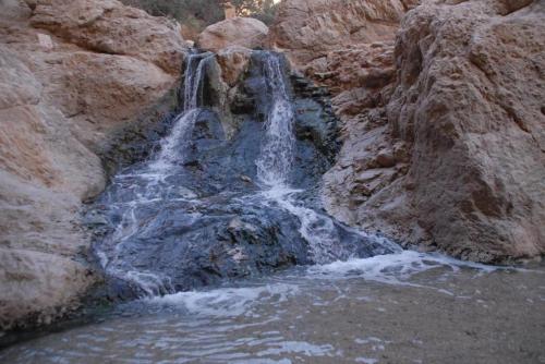 Galeriebild der Unterkunft Ein Gedi Rooms Neve Zohar in Neve Zohar