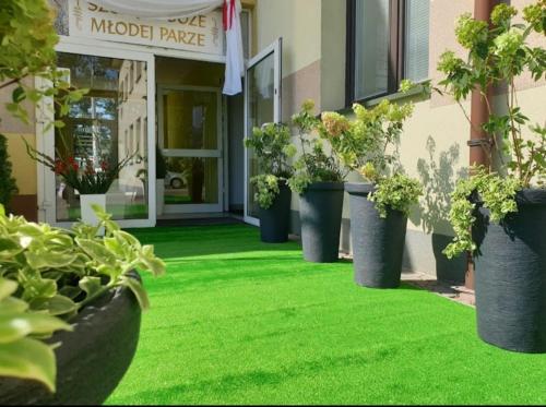 a row of potted plants in front of a building at Hostel Niedomice 