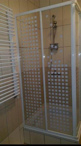 的住宿－Hostel Niedomice，浴室里设有玻璃门淋浴