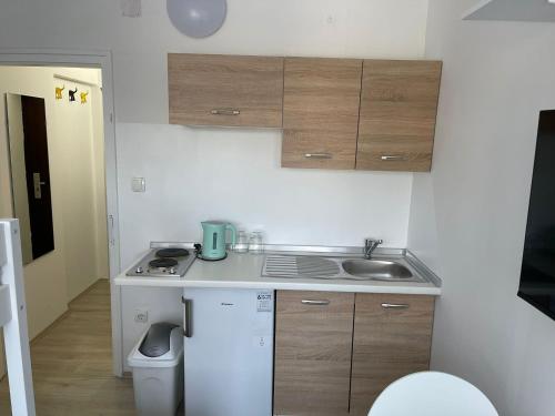 eine kleine Küche mit Spüle und Kühlschrank in der Unterkunft Center of Plitvice + Free Parking + Self Check-in in Plitvička Jezera