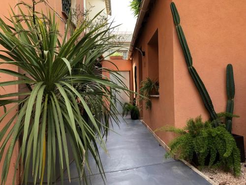 Hotel Villa Rose photo 88