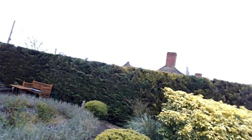 un banc sur le flanc d'une colline avec des buissons dans l'établissement Madresfield, à South Petherton
