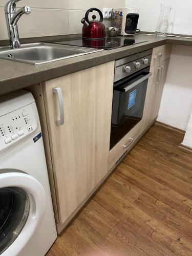 Kuchyň nebo kuchyňský kout v ubytování Luxury Apartments Zelny Trh 11