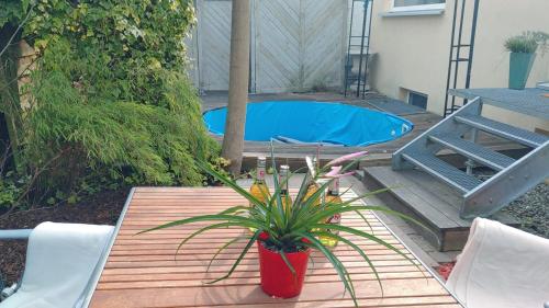 a wooden table with a potted plant on a patio at FeWo bei Tati - Bungalow in Singen