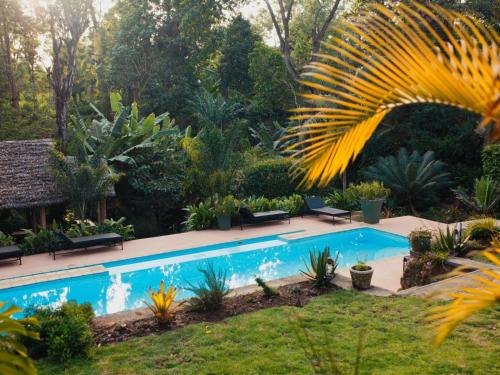 uma piscina num jardim com uma palmeira em Sanna Eco Lodge em Arusha
