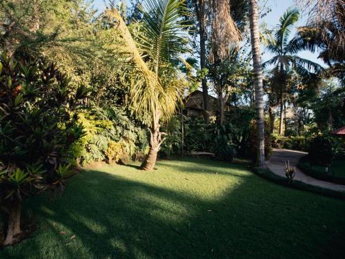 a green yard with palm trees and a house at Sanna Eco Lodge in Arusha