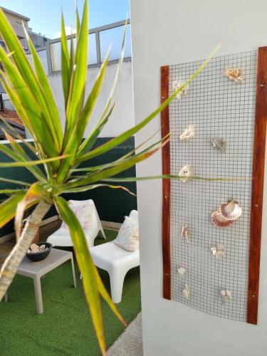 a plant in a room with shells on the wall at Honey House in Matosinhos