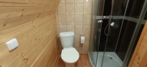 a small bathroom with a toilet and a shower at Chatky Sázava in Sázava