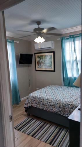 a bedroom with a bed and a ceiling fan at Carmen Apartment in Bridgetown