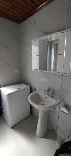 La salle de bains blanche est pourvue d'un lavabo et de toilettes. dans l'établissement Kontos-Traditional house in Andros beach, à Andros