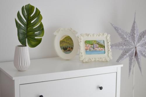 Gallery image of M&M apartment & rooms in Perast