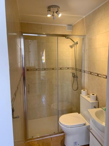 La salle de bains est pourvue d'une douche, de toilettes et d'un lavabo. dans l'établissement Agradable casa con chimenea y patio totalmente privado, à Barahona