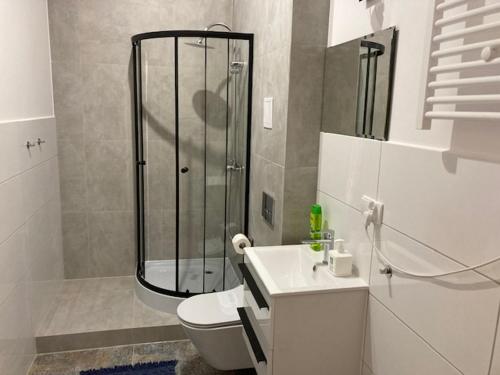 a bathroom with a shower and a toilet and a sink at Apartament Centrum Szczytno II in Szczytno