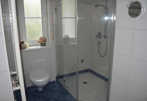 a bathroom with a shower with a toilet and a sink at Nele 02 in Zingst