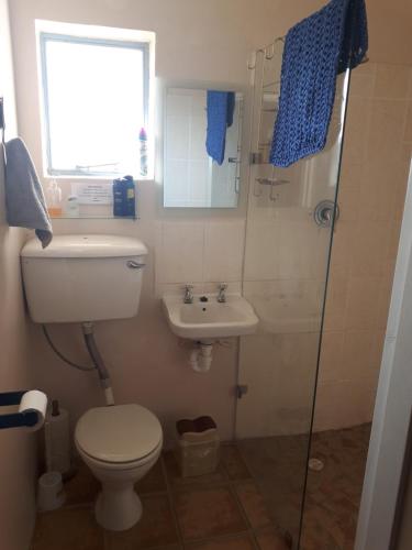 un bagno con wc, lavandino e doccia di Neels Cottage a Clanwilliam
