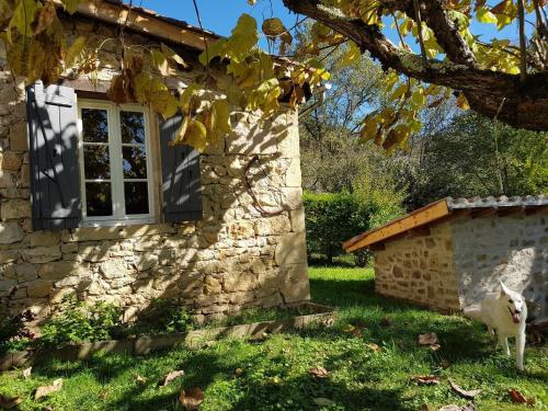 Le petit hangar – Photos 2