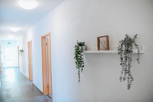 a white wall with a shelf with plants on it at XXL Ferienhaus Goldberger See - Sauna - 16 Personen in Goldberg