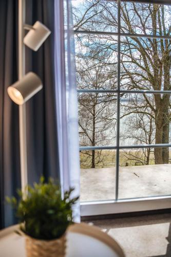 a window with a view of a tree at XXL Ferienhaus Goldberger See - Sauna - 16 Personen in Goldberg