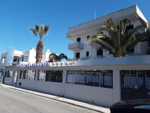 a white building with palm trees in front of it at Porto Cesareo Hotel in Porto Cesareo